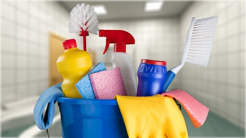Professional stain removal for carpets in a Merton home