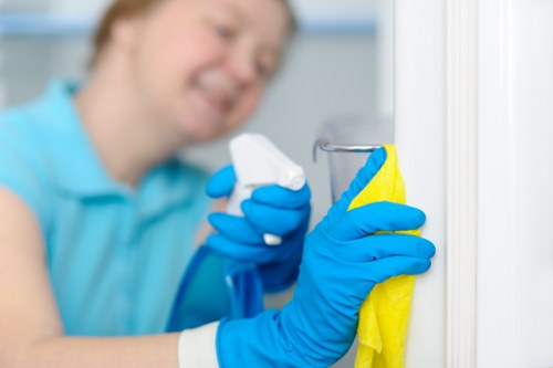 Regular house cleaning service available across Merton