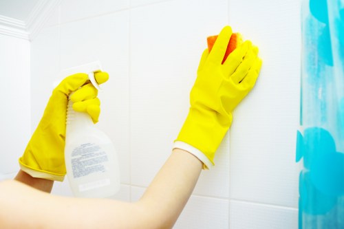 Deep cleaning equipment used for pet stain removal in Merton property