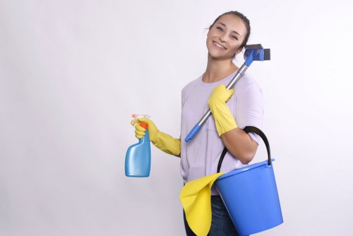 Freshening a mattress during a mattress cleaning appointment in Merton