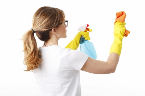 Professional window cleaner handling a residential property in Merton
