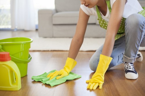 Customer booking a cleaning appointment with service details